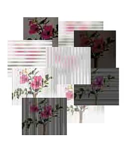 Rote Blumen auf einem Baumzweig