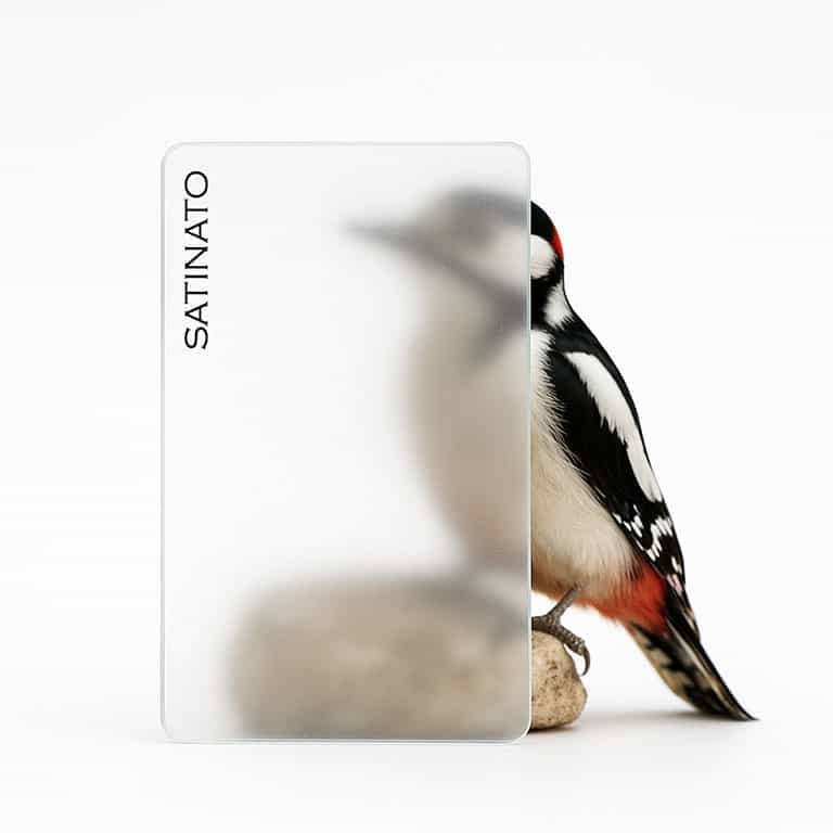 Satinato-Glas verdeckt teilweise Specht auf Stein.